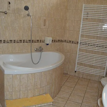 Paradise 酒店 俄斯特拉发